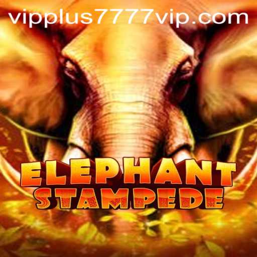 The Majestic World of ElephantStampede and the Enigma of Plus7777 VIP
