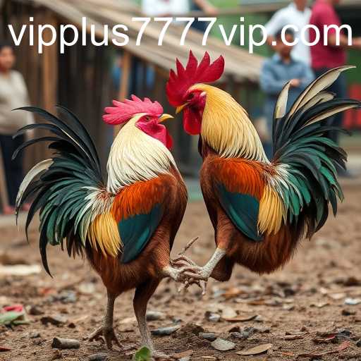 Plus7777 VIP